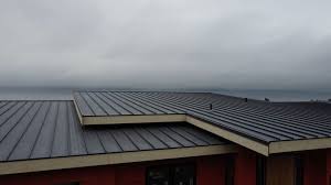 Best Steel Roofing  in Hampton, VA